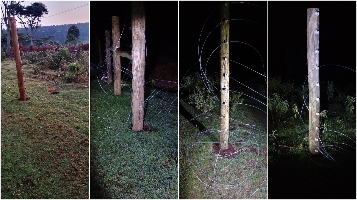 Mystery as unknown individuals destroy section of Kaptagat Forest fence