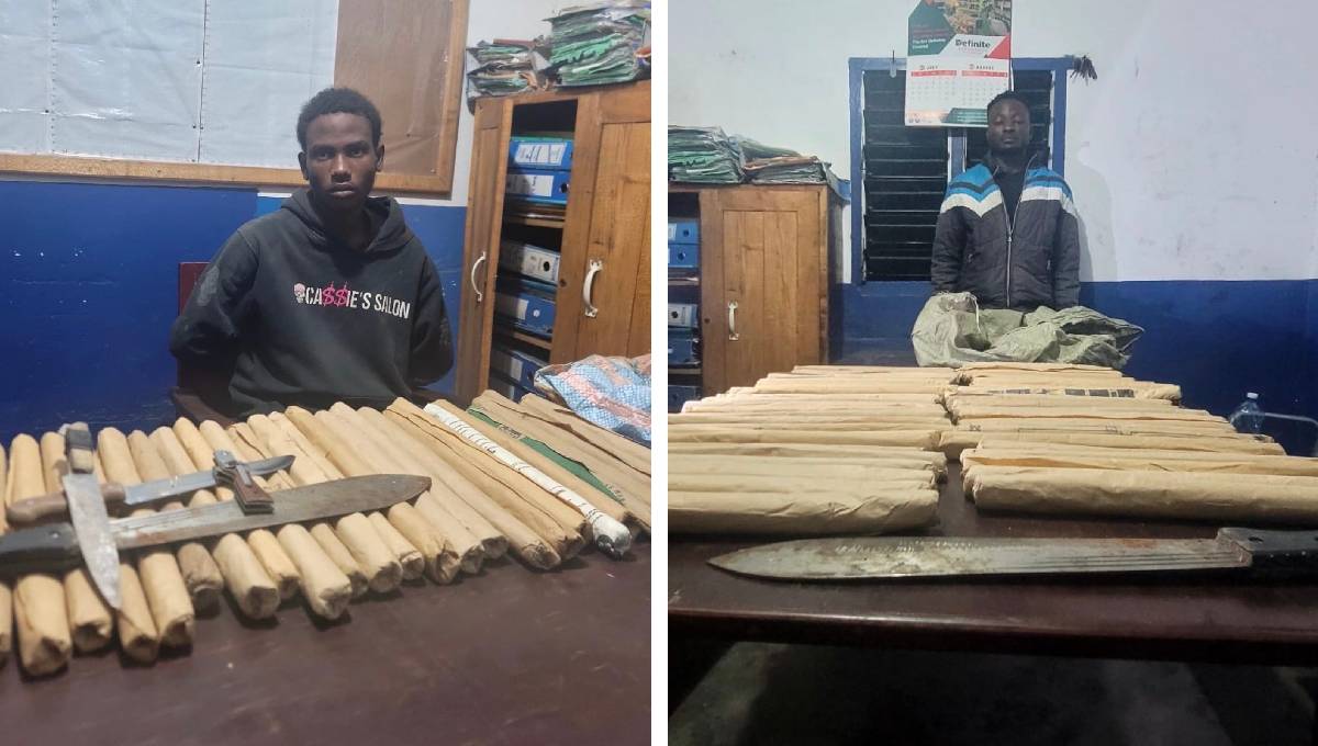 Two drug traffickers arrested in Mariakani as police recover 84 rolls of bhang