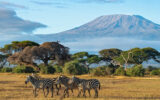 Tourism Regulatory Authority warns public to deal only with licensed tourism enterprises as peak season begins
