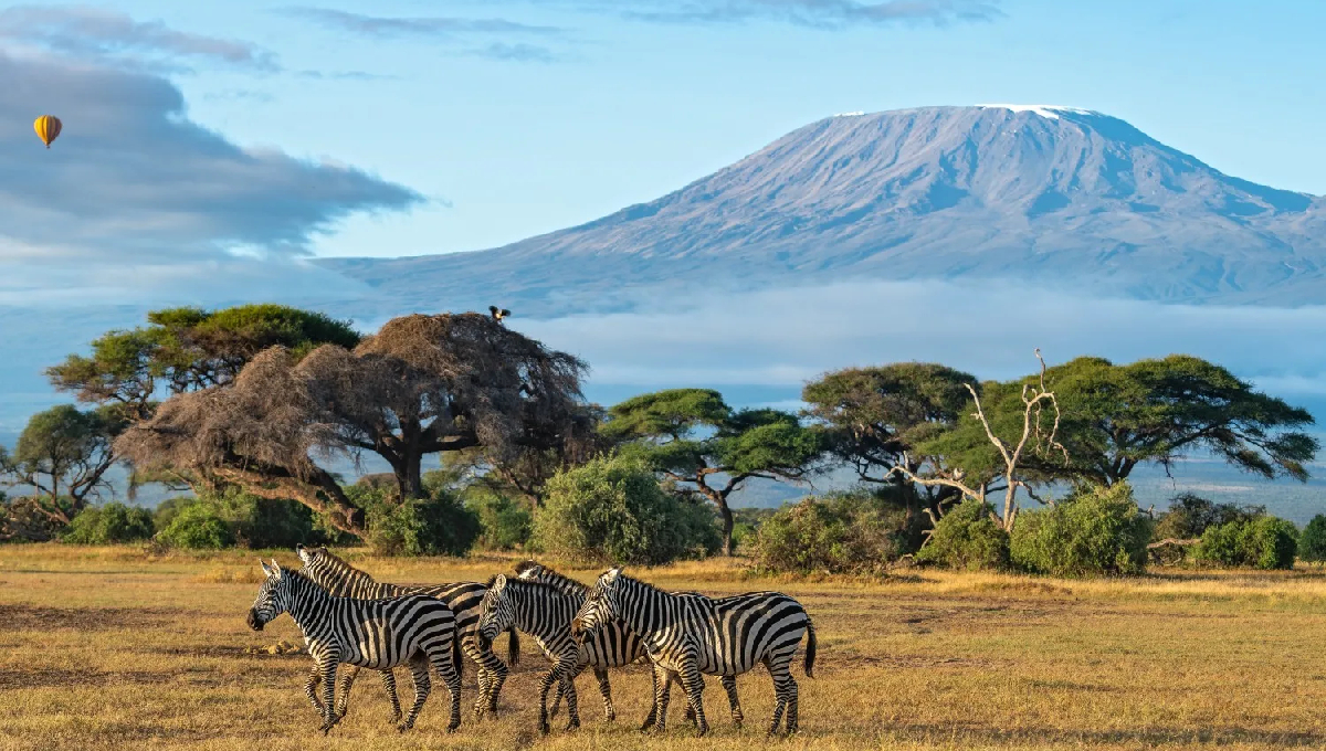 Tourism Regulatory Authority warns public to deal only with licensed tourism enterprises as peak season begins