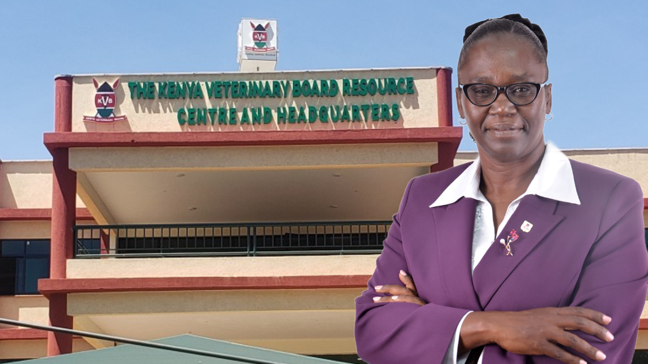 Raising standards, protecting lives and transforming veterinary practice in Kenya