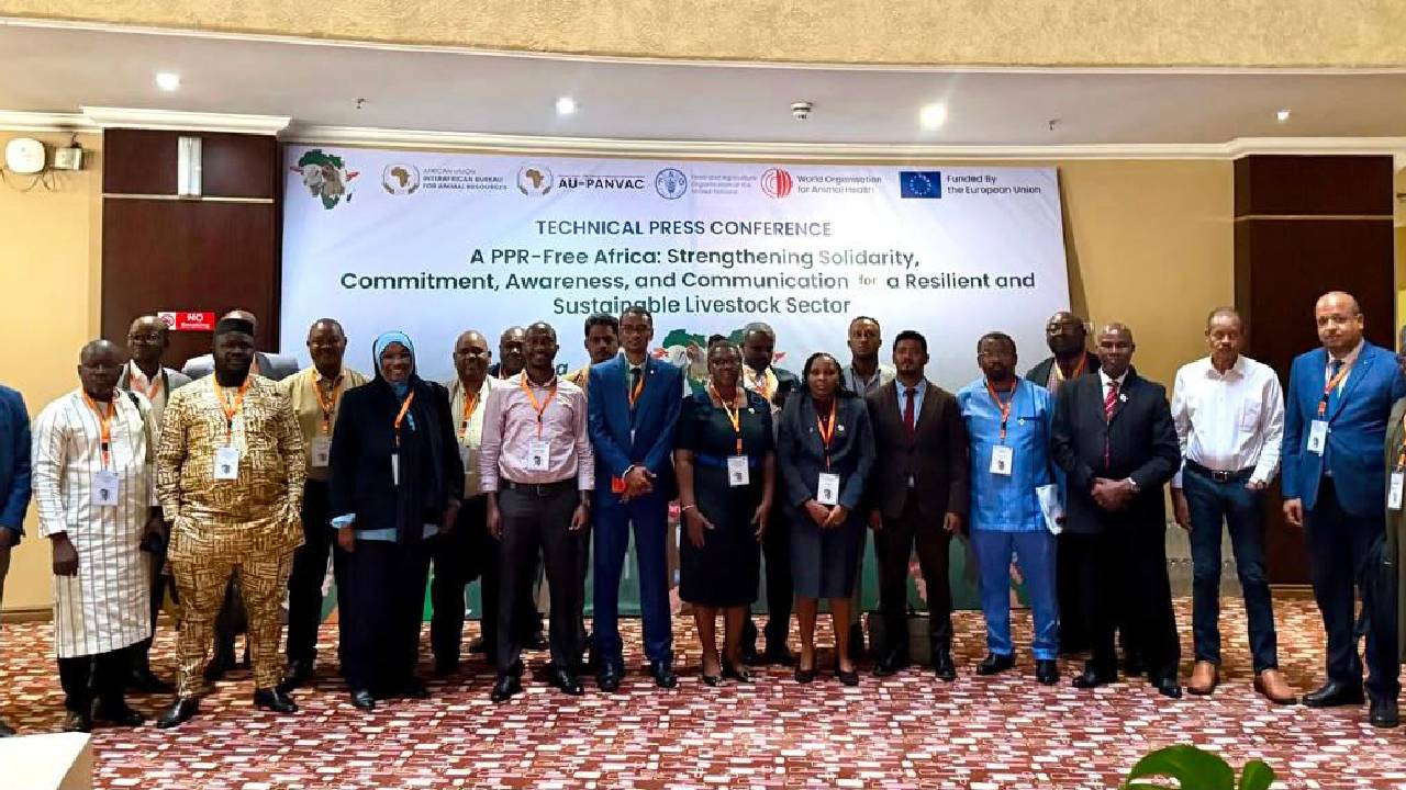 Africa advances towards eradicating deadly PPR livestock disease
