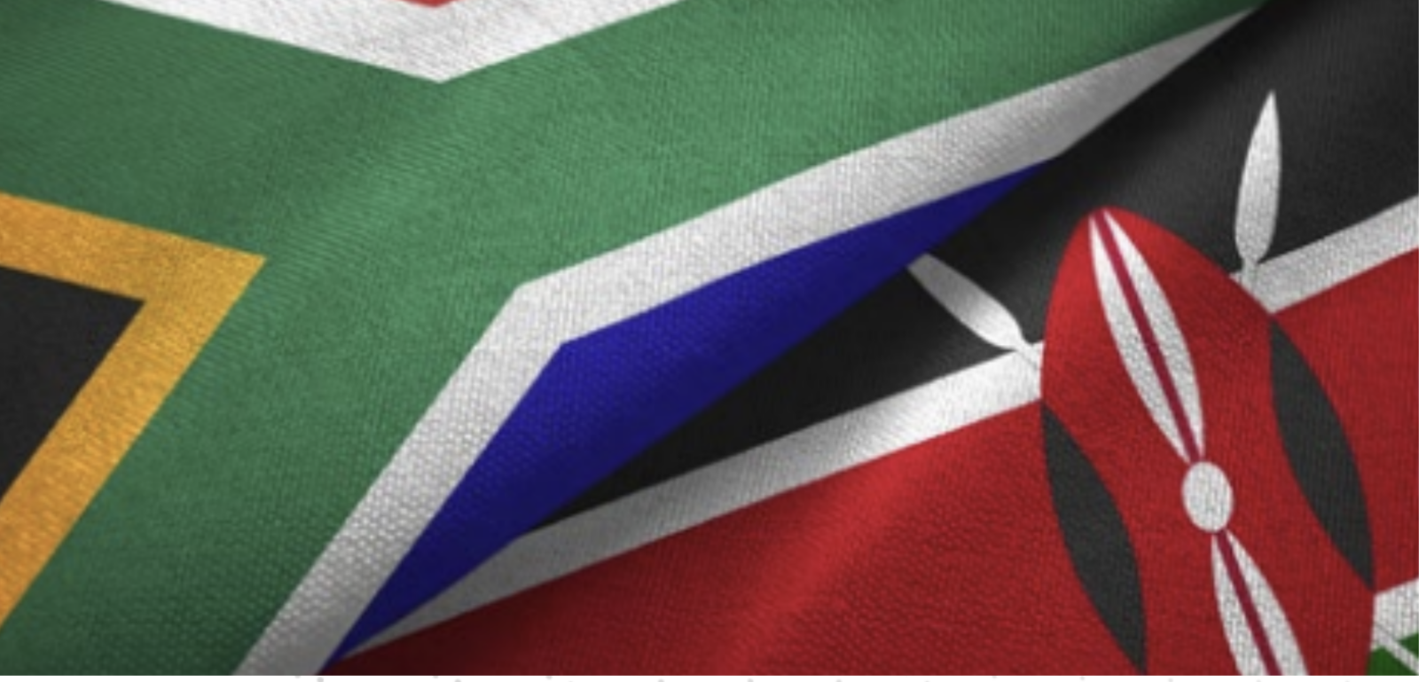 Opinion on Kenyans with irregular papers in South Africa