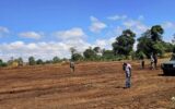 High Court puts brakes on Imenti State Lodge project