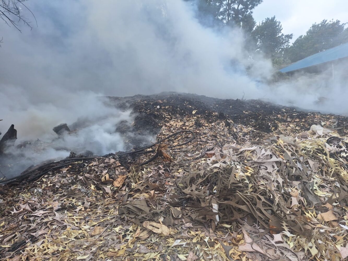 Muguga residents raise alarm over toxic smoke from industrial waste