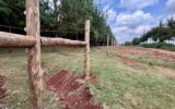 Kaptagat residents welcome forest fencing, cite conservation, tourism and livelihood benefits