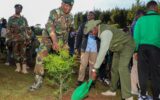 New biogas plant strengthens forest conservation drive in Kaptagat 