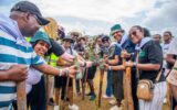 Kenya scouts set Guinness World Record with 4,124 mangroves planted within 30 seconds 