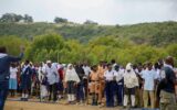 Thousands of scouts lead Kenya’s bid for global mangrove planting record