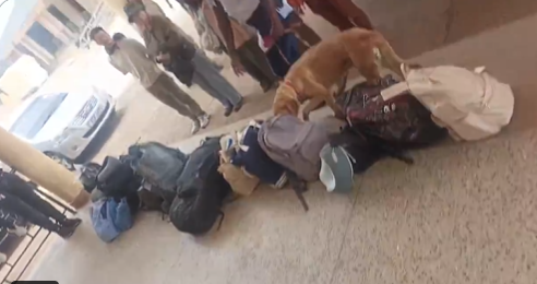 Dog sniffs out heroin at Isebania border, leading to arrest of foreign national