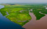 Lakes that ‘breathe’ ancient carbon: a surprising find in the Congo Basin