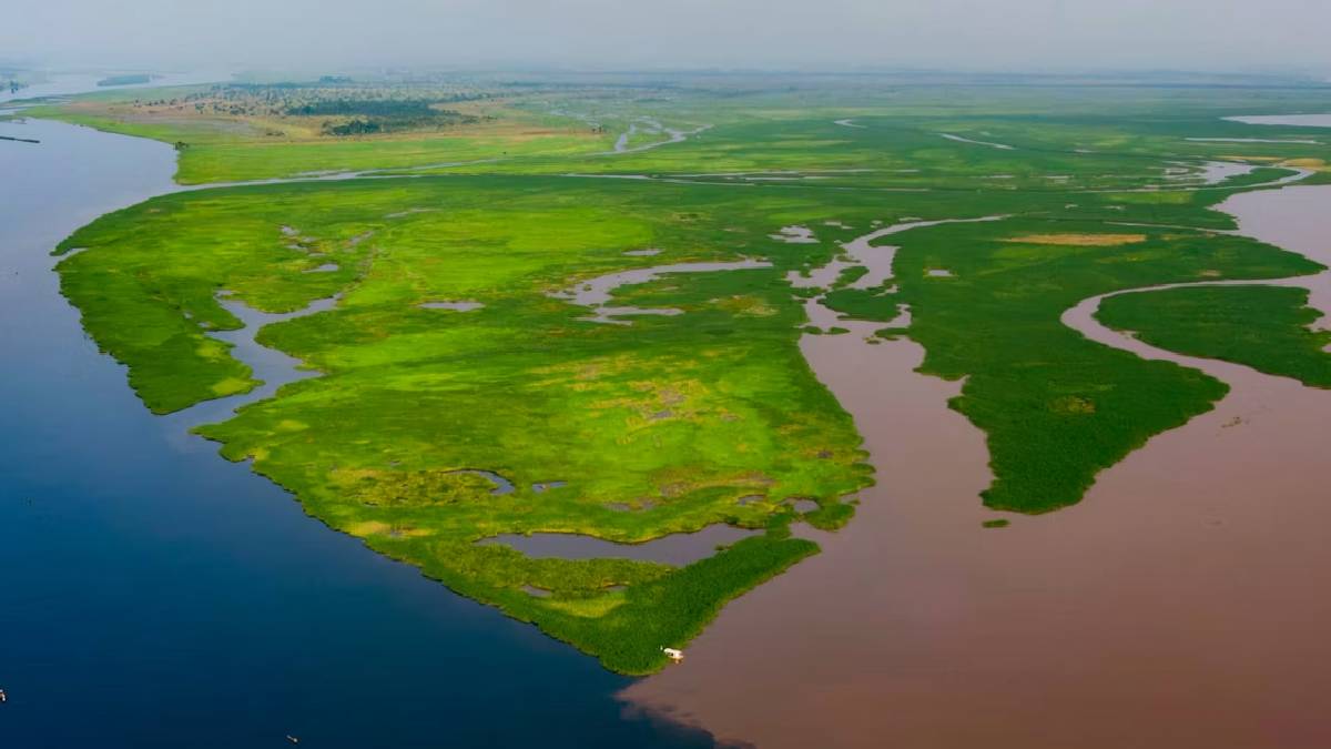 Lakes that ‘breathe’ ancient carbon: a surprising find in the Congo Basin