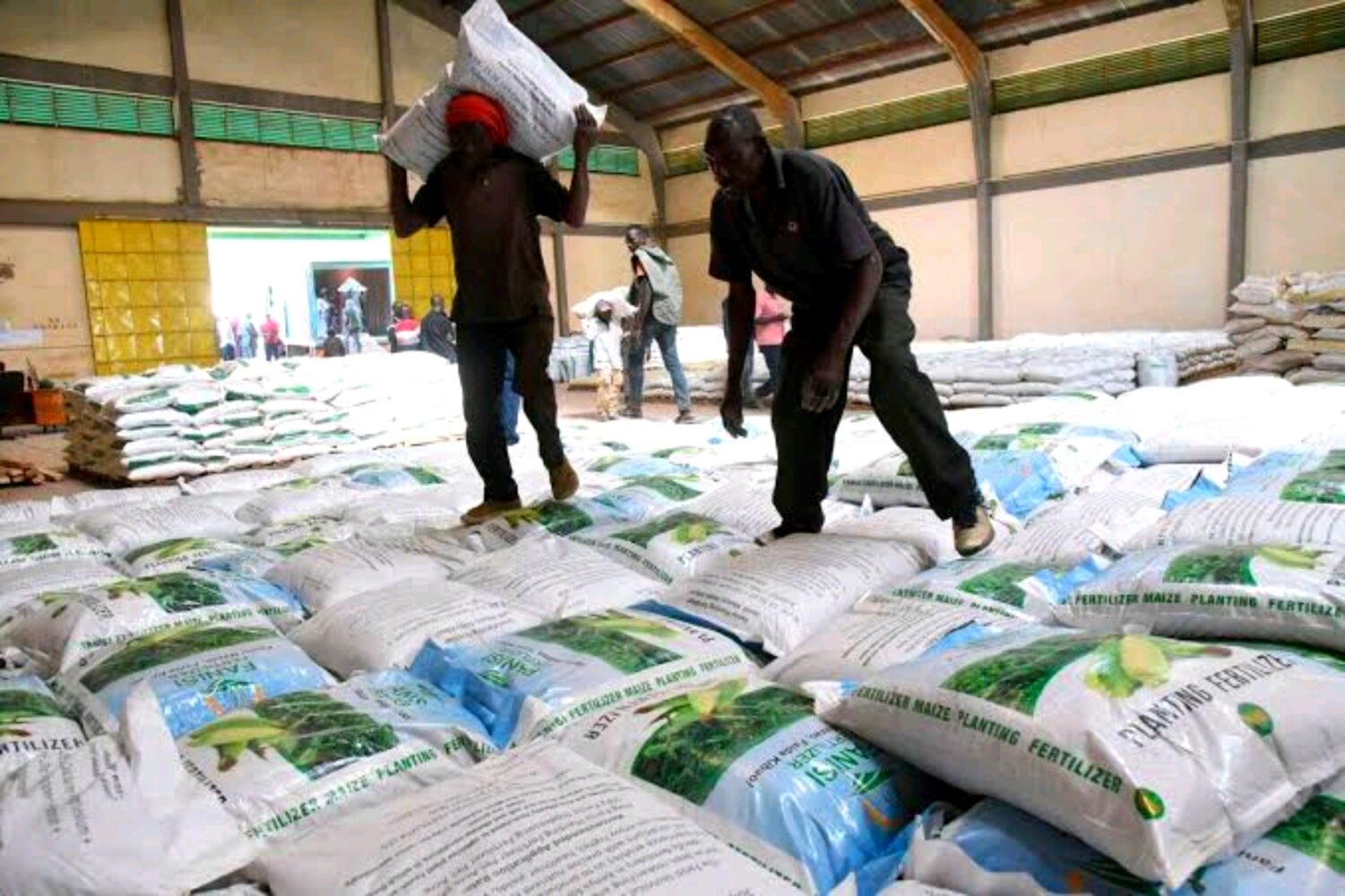 Gov’t effects fertiliser price cut to KSh2,000 per 50kg bag—down from KSh2,500