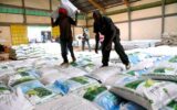 Gov’t effects fertiliser price cut to KSh2,000 per 50kg bag—down from KSh2,500