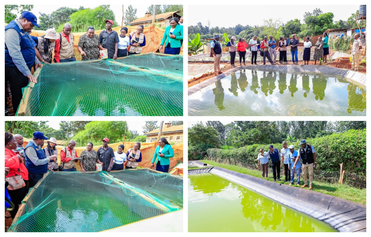 Donor agencies praise Waiguru’s thriving commercial fish farming initiatives
