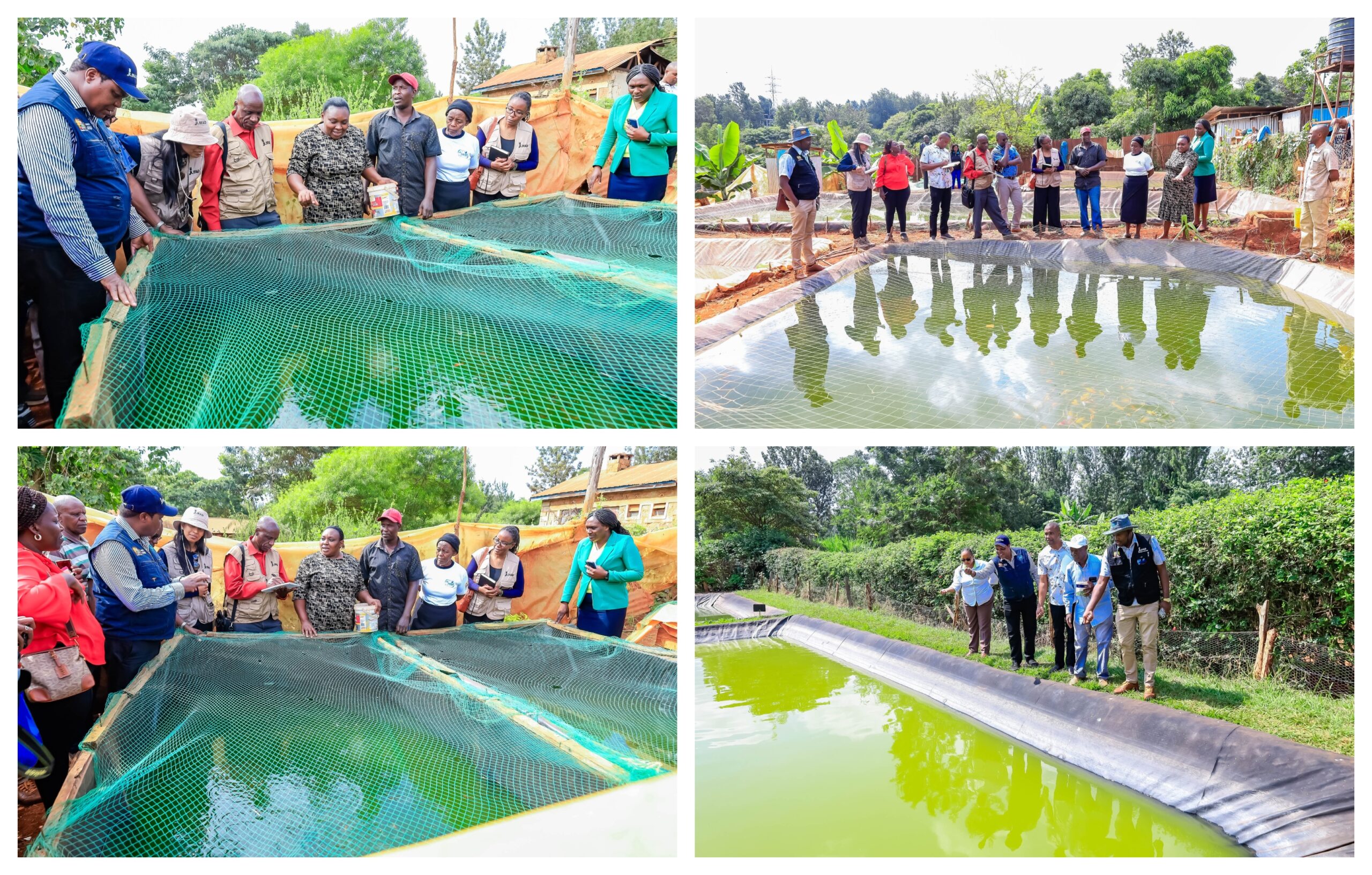 Donor agencies praise Waiguru’s thriving commercial fish farming initiatives