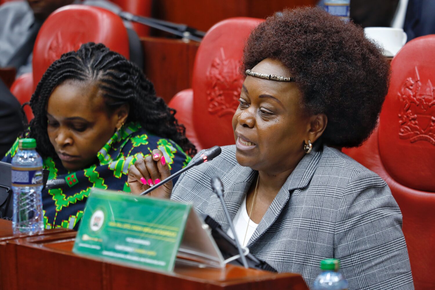 Suba North MP Millie Odhiambo hilariously recounts being attacked by a monkey at her home