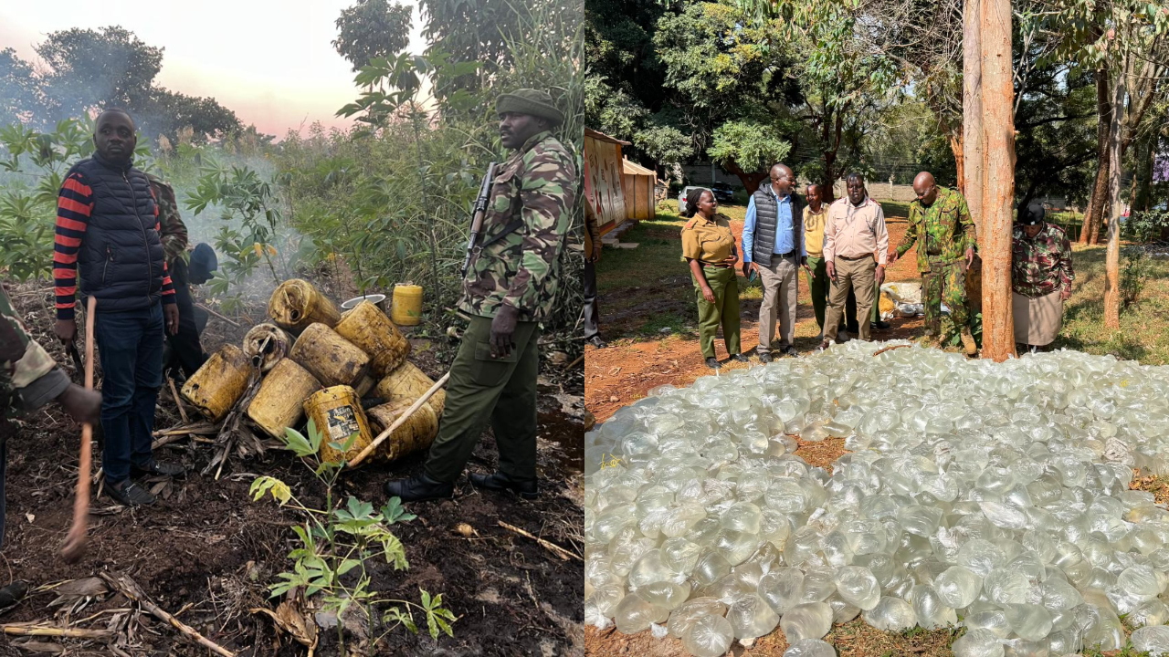 NACADA seizes over 27,000 litres of illicit alcohol in Nairobi and Nyakach raids