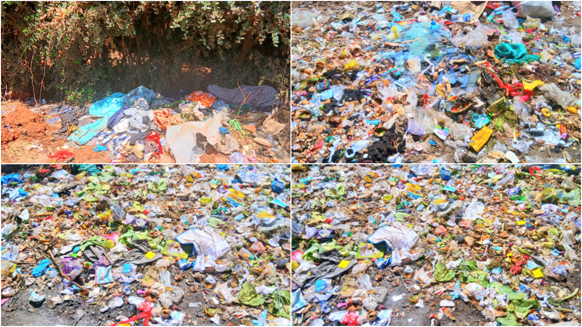 Rats disrupt learning at Machakos Primary School