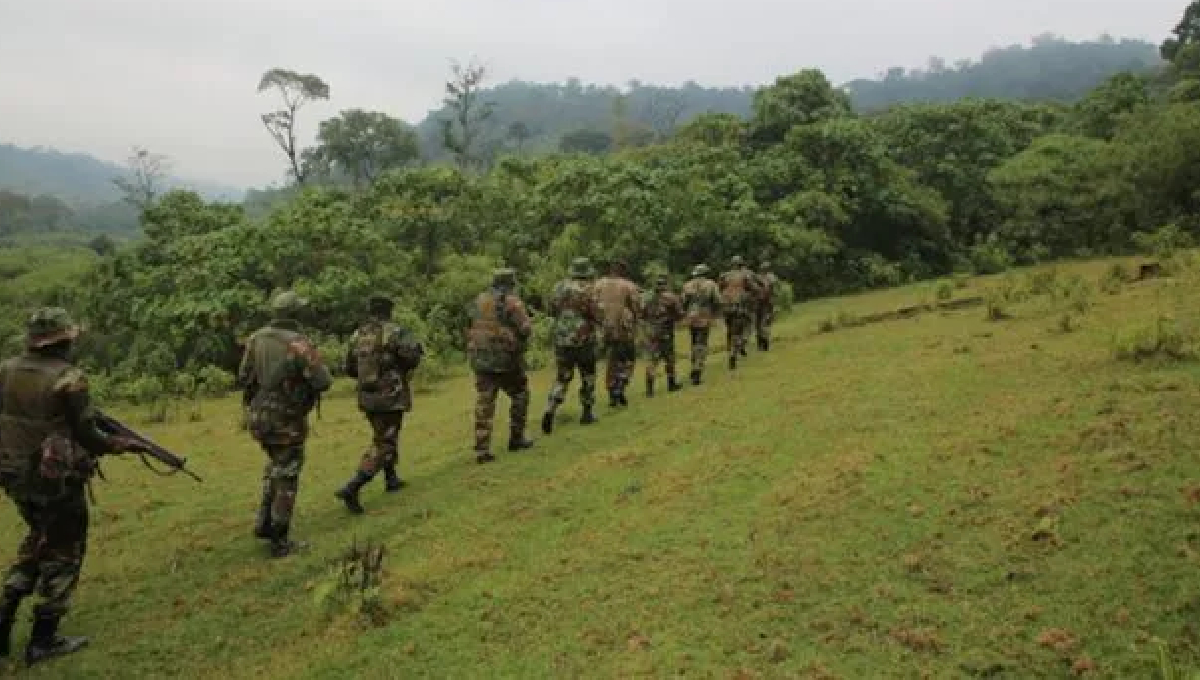 Kenya Forest Service investigates illegal logging in Saboti Forest Station as 350 trees cut down overnight
