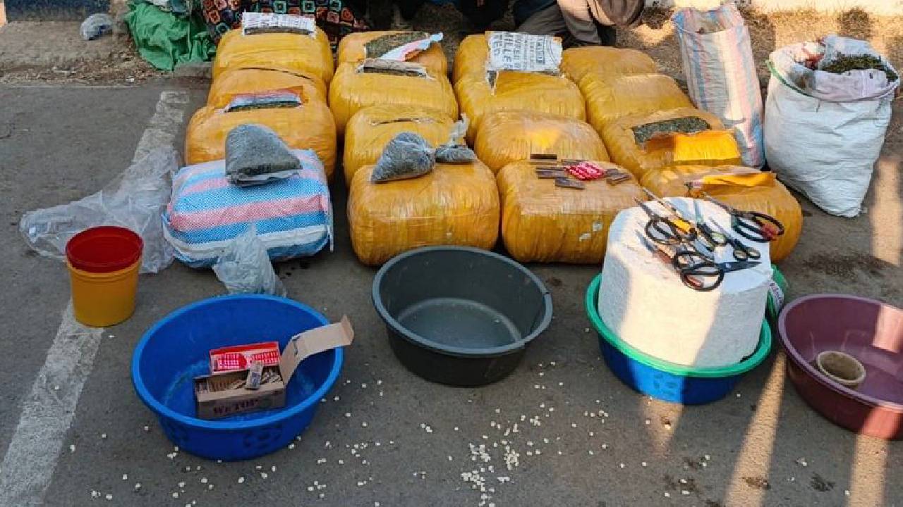 Three arrested as NANIB seizes Sh3.3 Million Cannabis Sativa in Narok
