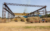 Muhoroni Sugar revival ends years of pain for sugarcane farmers 