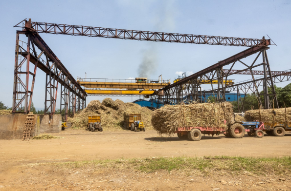Muhoroni Sugar revival ends years of pain for sugarcane farmers 