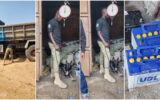 How police used an excellent sniffer dog to track down two stolen car batteries