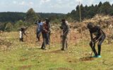Kaptagat: A new community-led approach to forest fencing