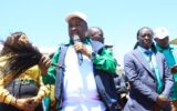 Ukambani parties will not fold for Kalonzo, says NLP leader Muli