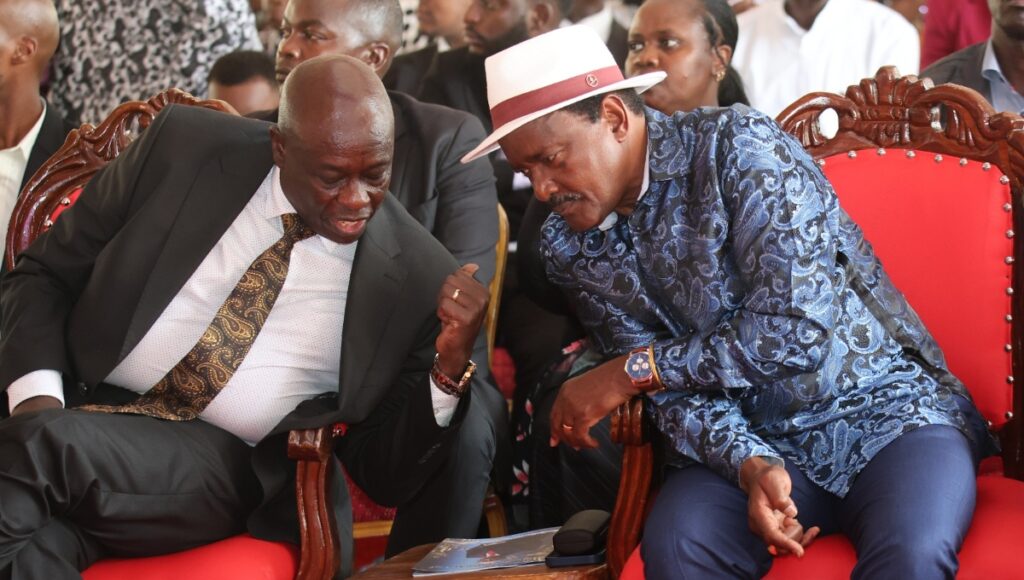 DCP leaders hint at backing Kalonzo as opposition alliance talks gather pace