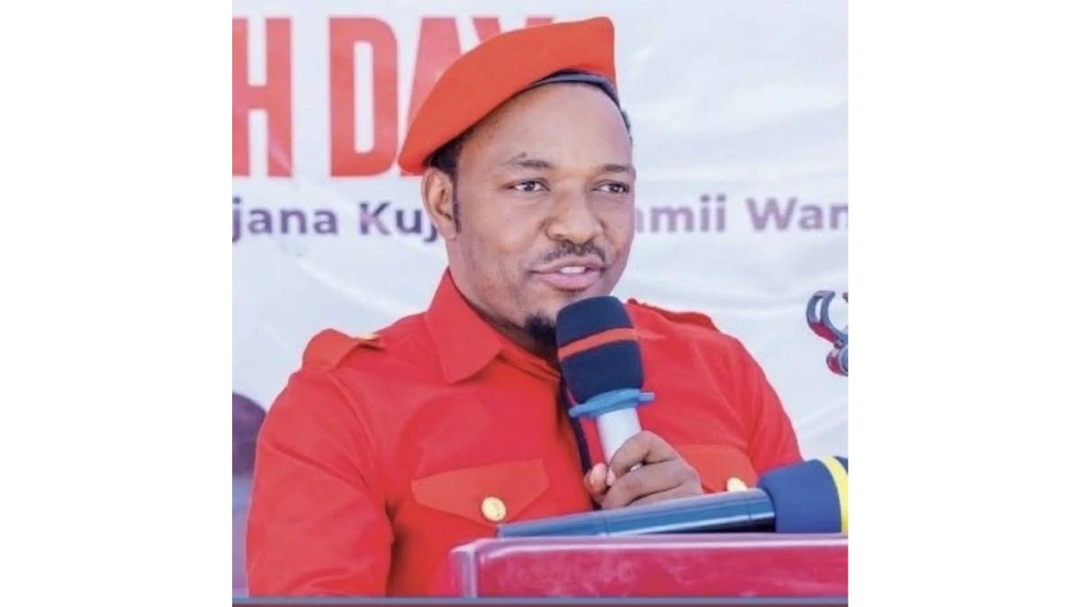 “Produce Tanzanian activist Twaha Mwaipaya dead or alive!” – Court orders police