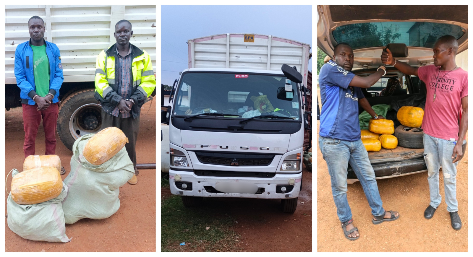 Four arrested as police seize more than 66kg of bhang in Busia and Bungoma crackdown