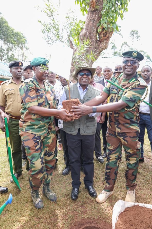 In photos: PS Isaboke leads tree-planting exercise at Chirichiro Comprehensive School