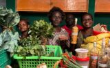 Busia organic market targets cross-border trade in chemical-free foods